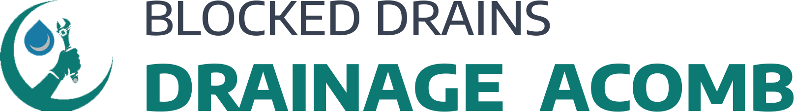 website logo